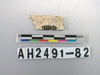 藏品(玉料)的圖片